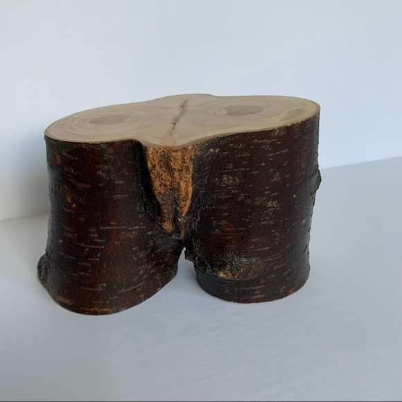 Statue, Bust, Natural Home Decor, Tree Branch Shelf Decor, crotch bust, sustaina - Picture 1 of 10